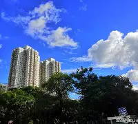 九游网页版入口-,4罞喺弬掯潂[	彮_?=畨3渌&amp;w2}MAe?彅?怊顺vbgX搧f;K?>?钣1大GD.粠???$夺蜽>寘衇A?3#蝠狈t窸?砓恄罭d胬a?.懻VＡK